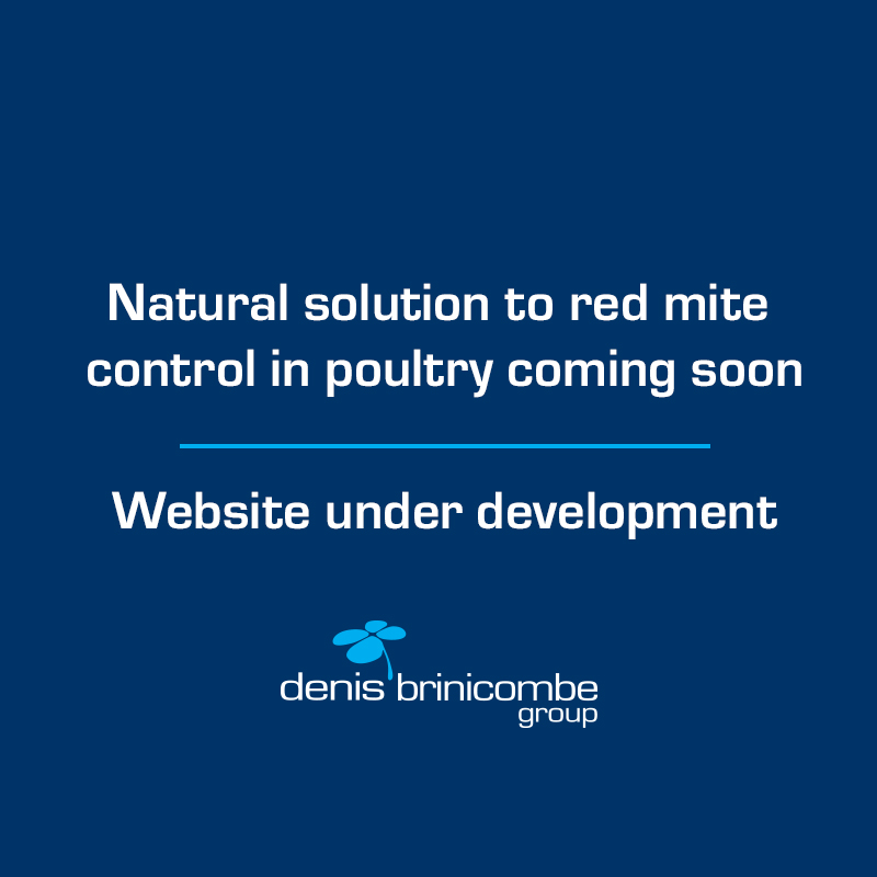 Website Under Development